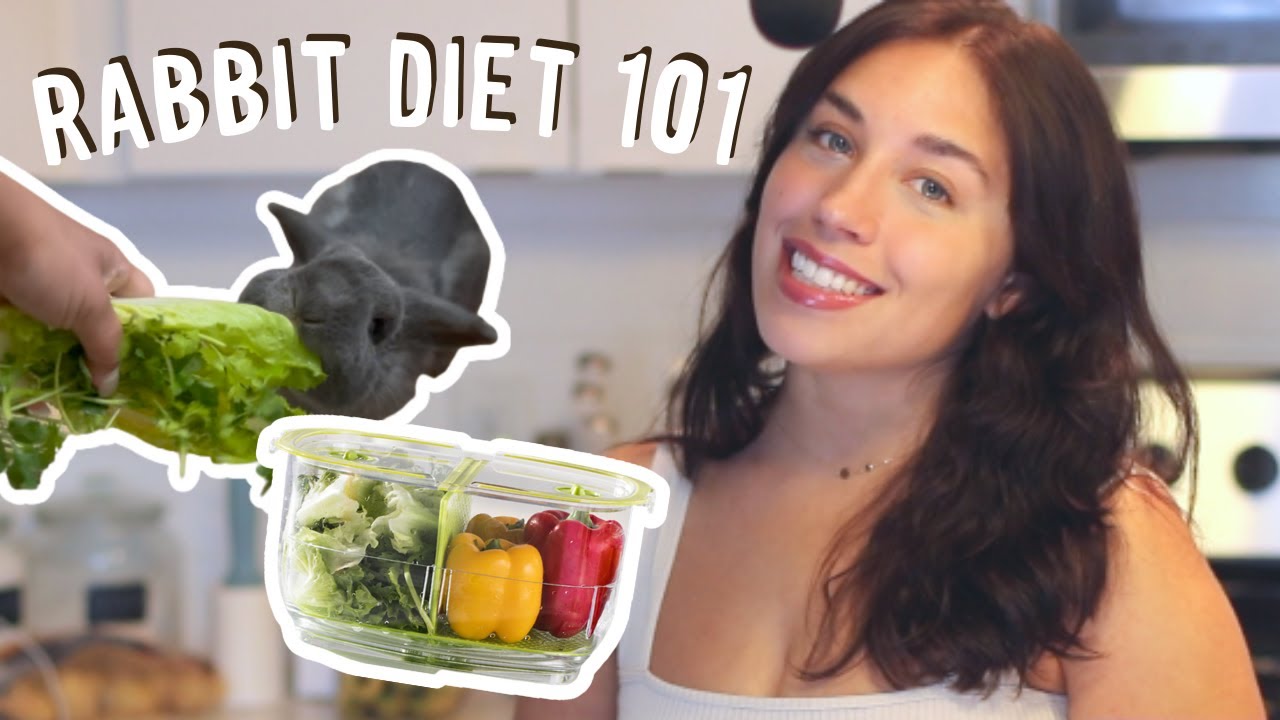 What to Feed Your Pet Rabbit | Rabbit Diet 101