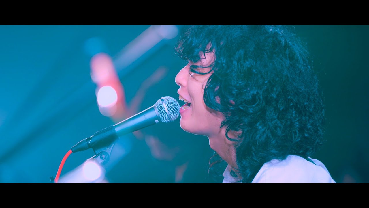 WOMCADOLE-【LIVE】Penguin