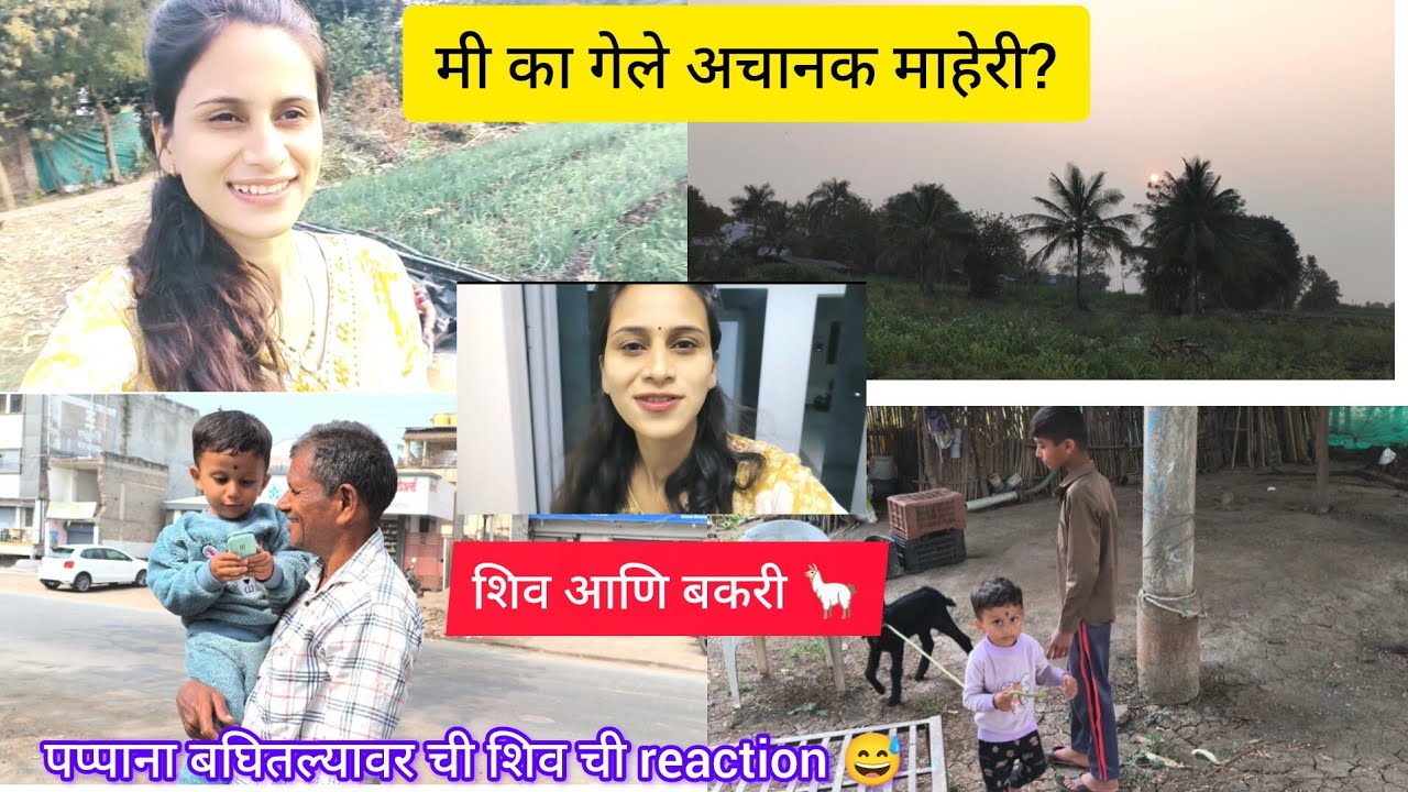 मी का गेली होती अचानक माहेरी#शिव,बकरी आणि चिकू दादा#गावाकडचा vlog#dailyvlog#suvarnaslifestyle 