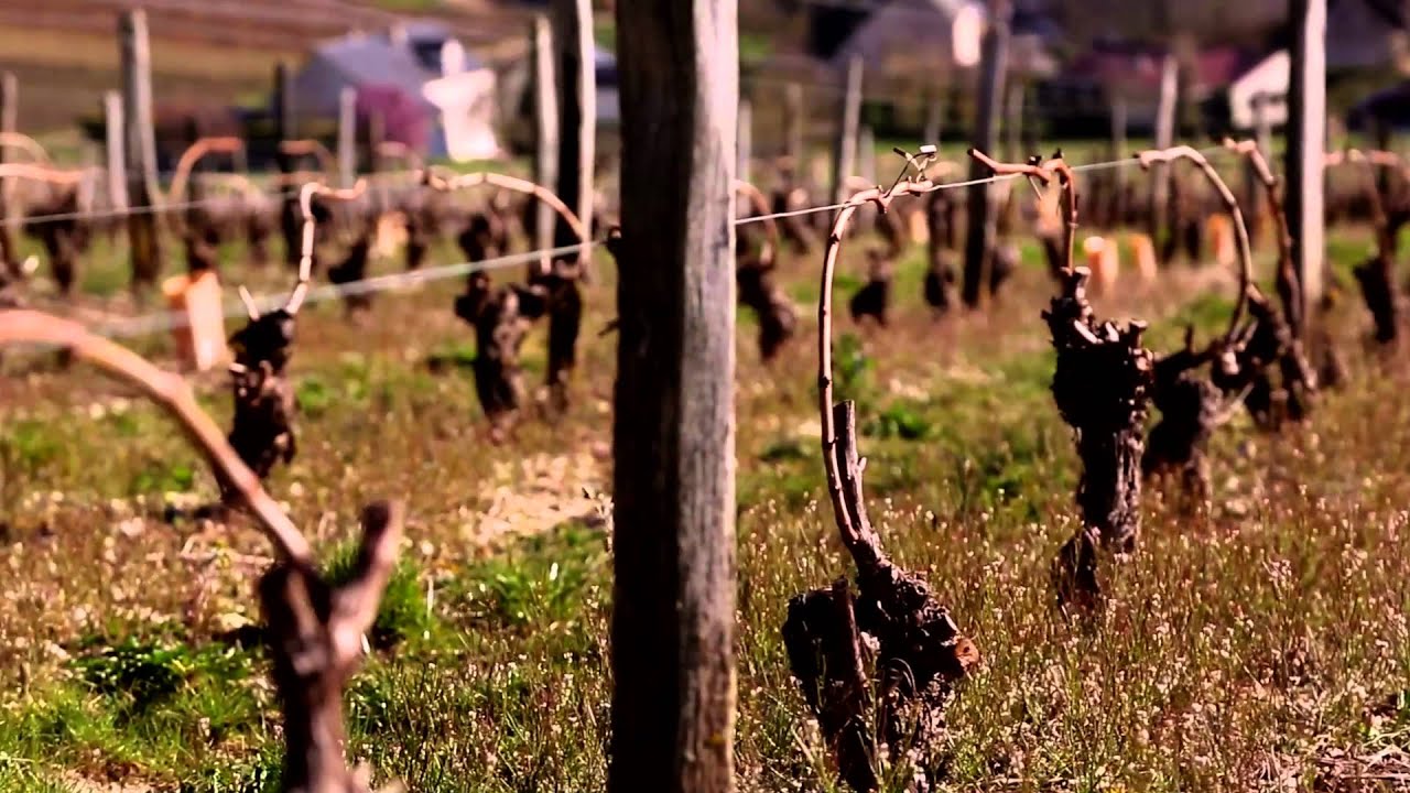 The Art of Food & Wine in Sancerre