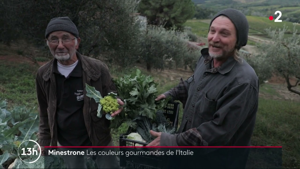 Le minestrone, soupe italienne, nov 2021