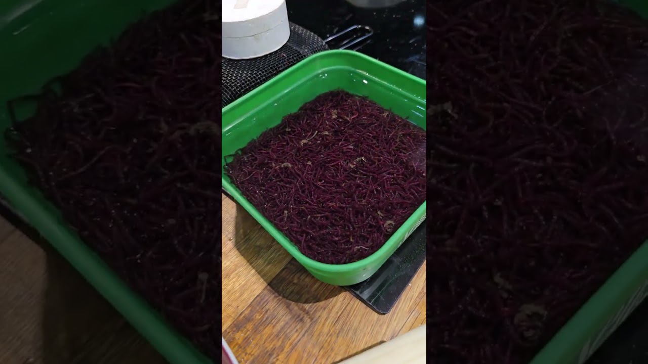 Kukingszprej w termomixie? Mój pierwszy raz po 3 latach. Team szmaciarze warta w domu