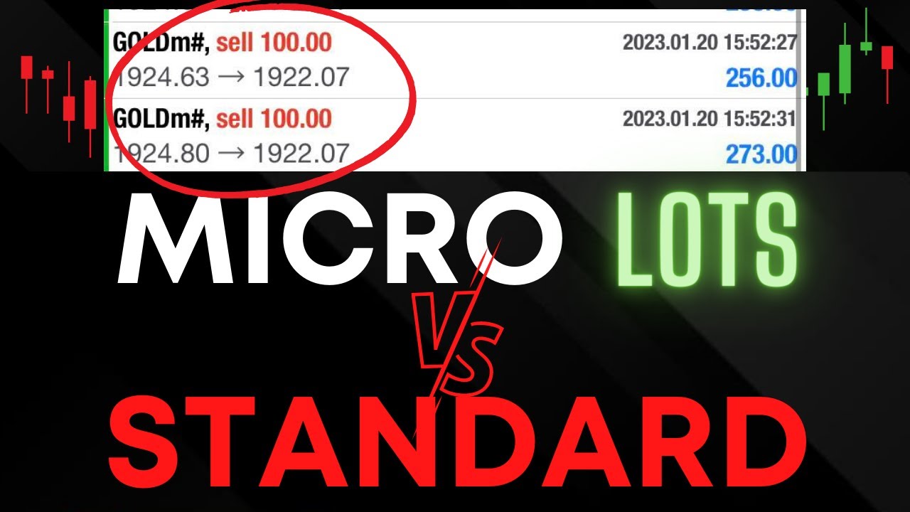XM Standard vs Micro Account Lot Size and Value Per Pip