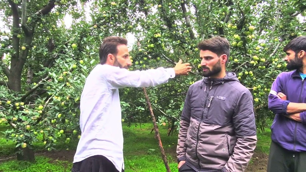 Pollinizers  necessary for fruit set.@sanjeevchauhan8238 @Khursheed2003 