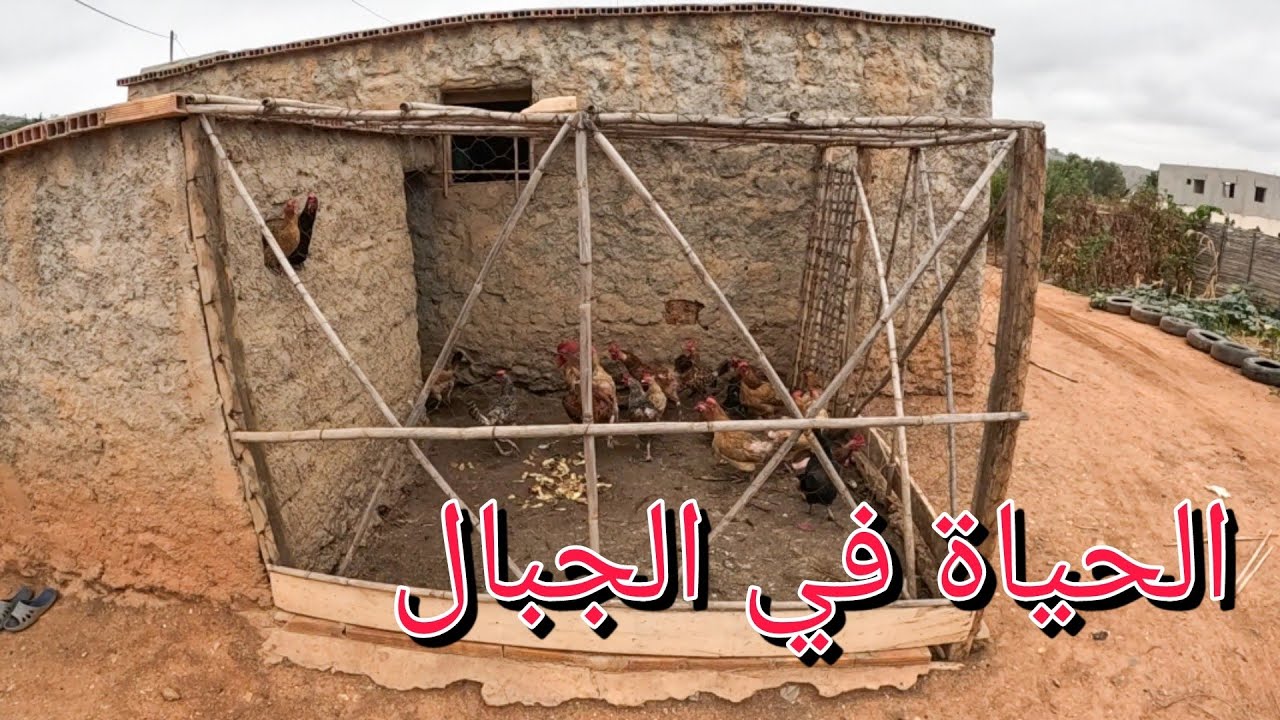 دواوير تماسينت في أعالي جبال الريف tamassint_Arif_north morocco
