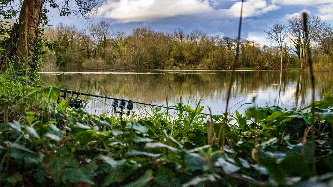 Searching for a RARE Carp from a Special Tench Lake
