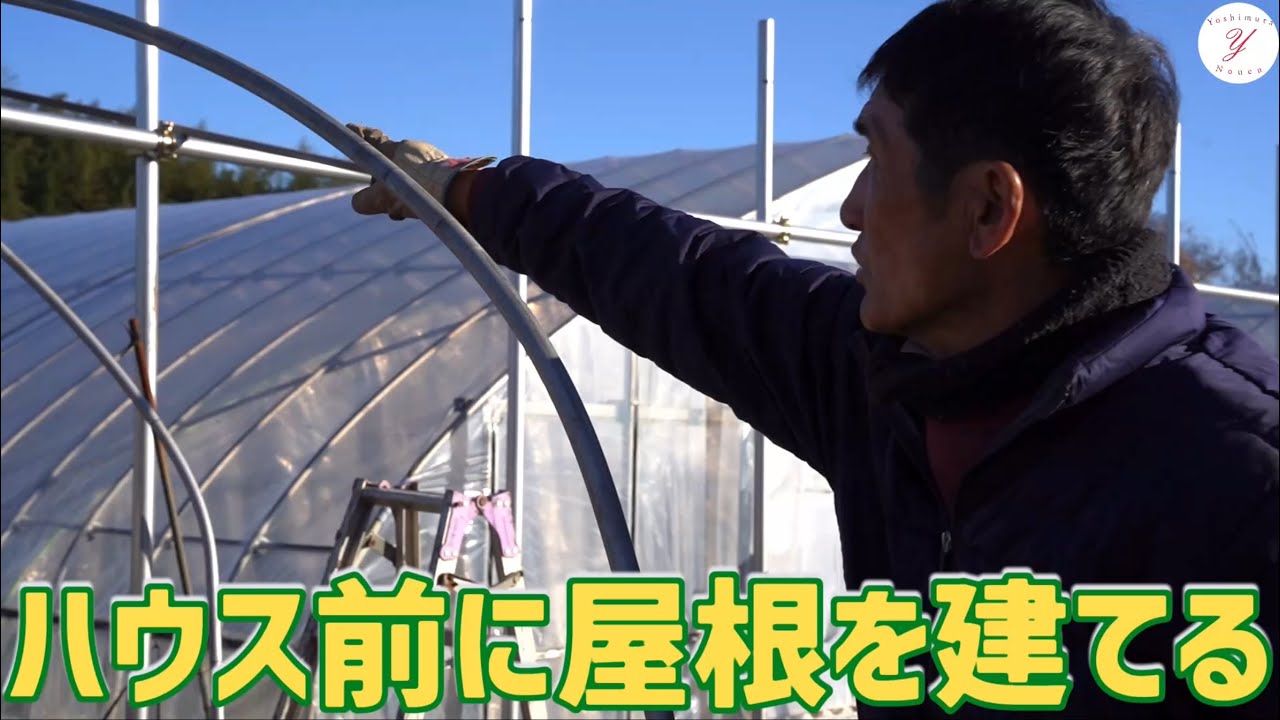 【いちご栽培】ハウス前に屋根を建てる理由！