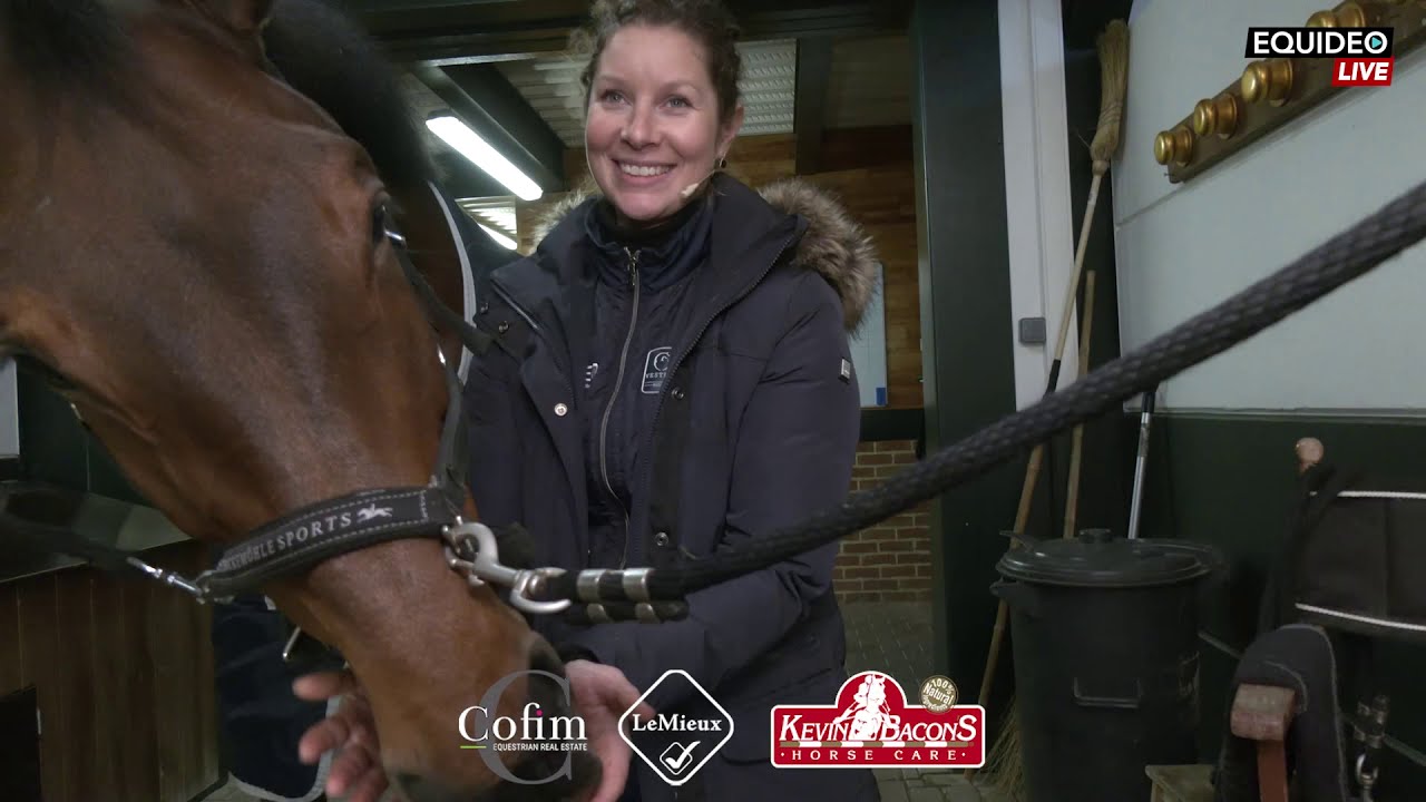 Trucs et astuces de groom pour tondre vos chevaux et poneys