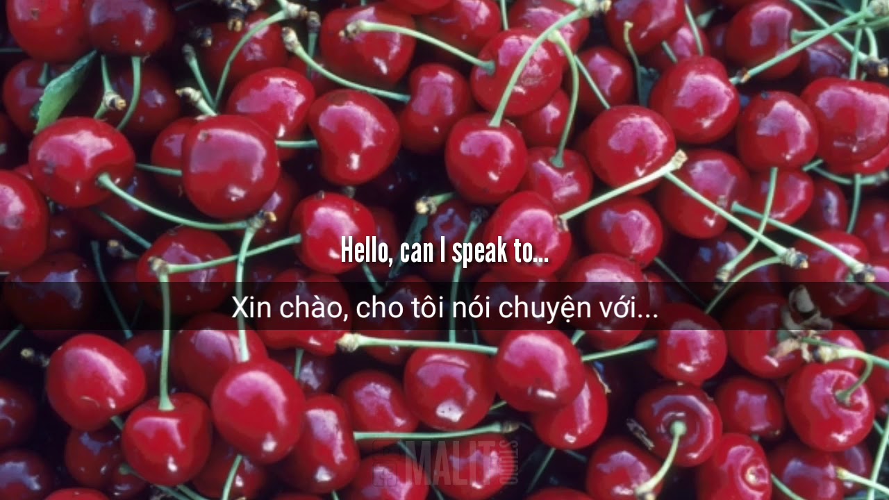 [lyrics vietsub] Cherry - Rina Sawayama