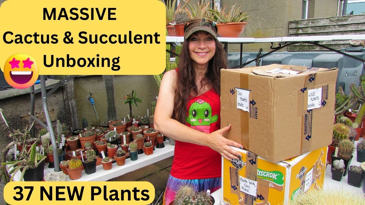 MASSIVE awesome Cactus & Succulent Unboxing - 37 NEW Plants #cacti #cactus