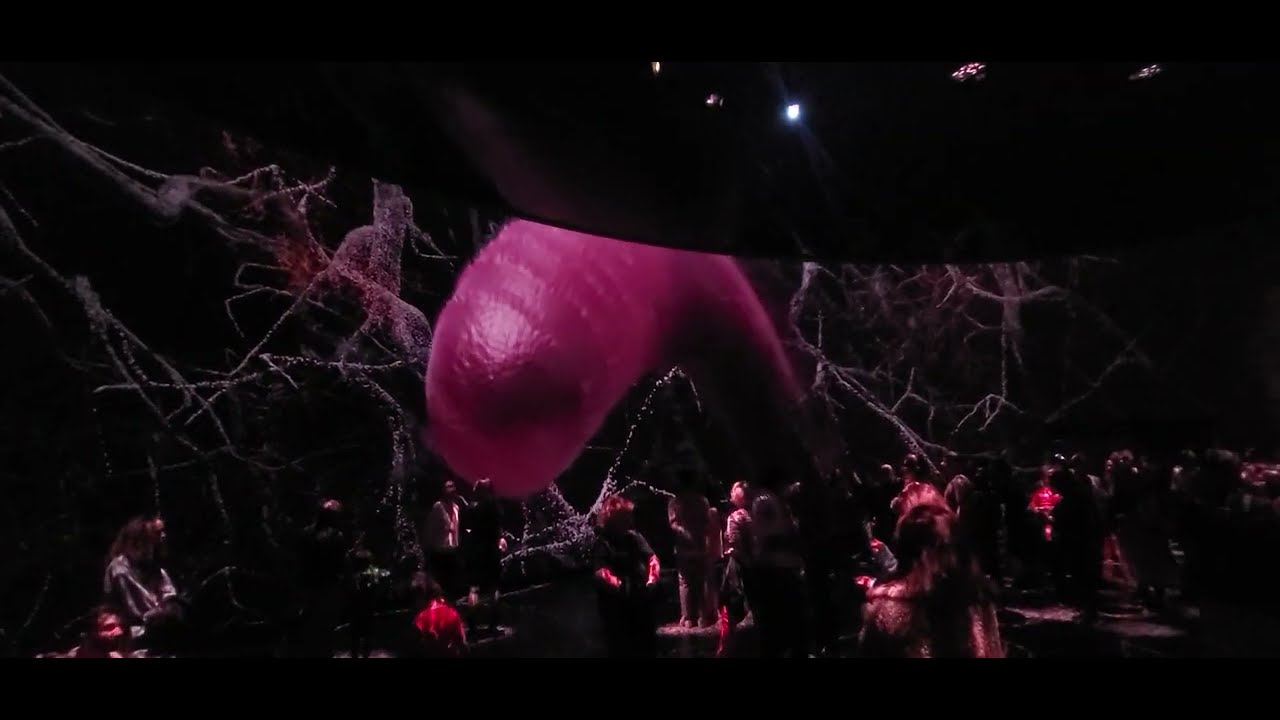 Invisible Worlds Immersive Experience Newyork! American Museum of Natural History.