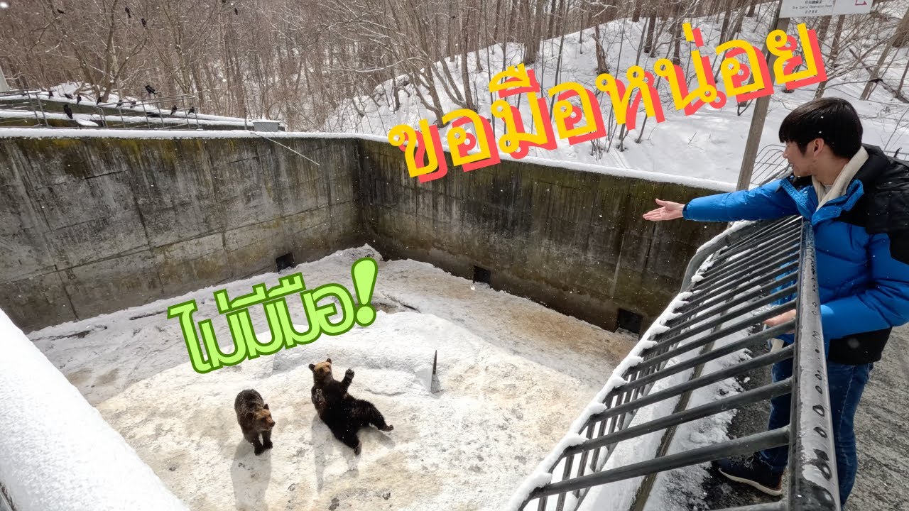 หมี Hokkaido ร้องยังไง [Hokkaido 2024 EP8]