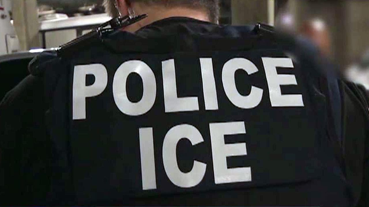 Ex-border patrol chief: Abolish ICE calls are 'irresponsible'