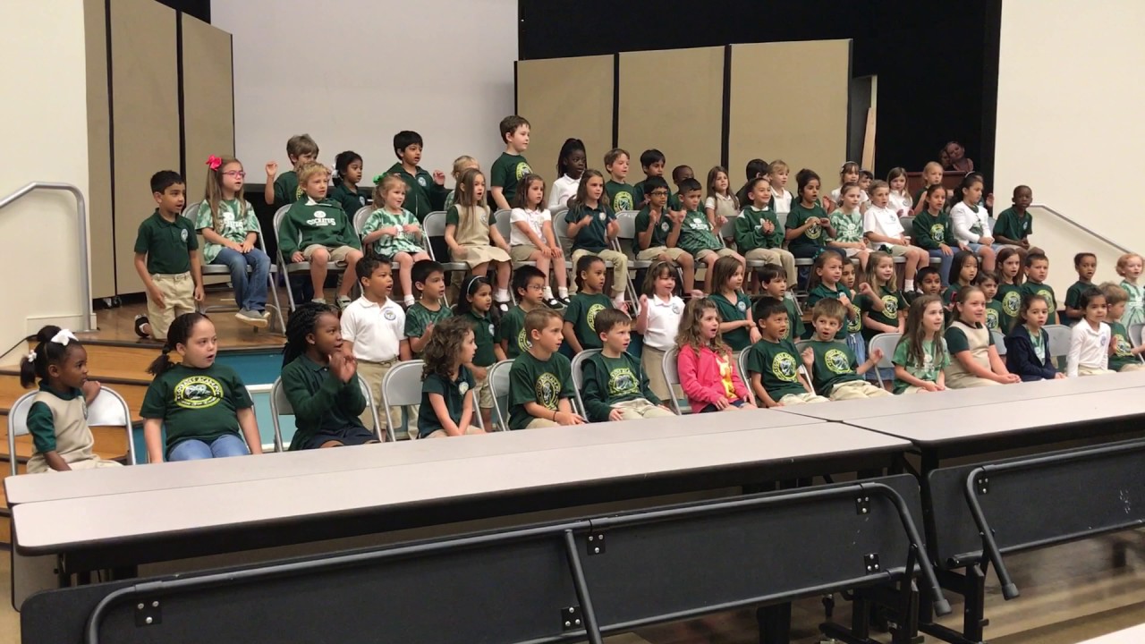 Aristeas school performance 2017