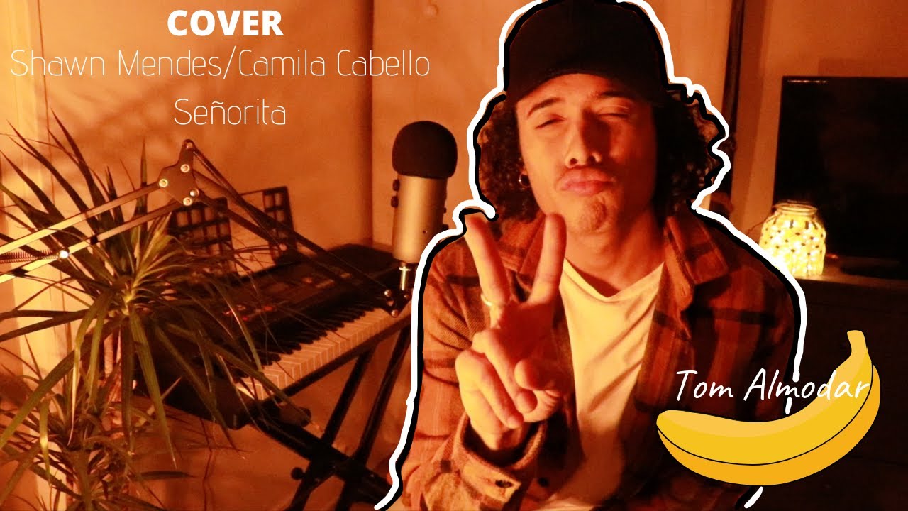 Shawn Mendes/Camila Cabello  - Señorita (cover Tom Almodar)