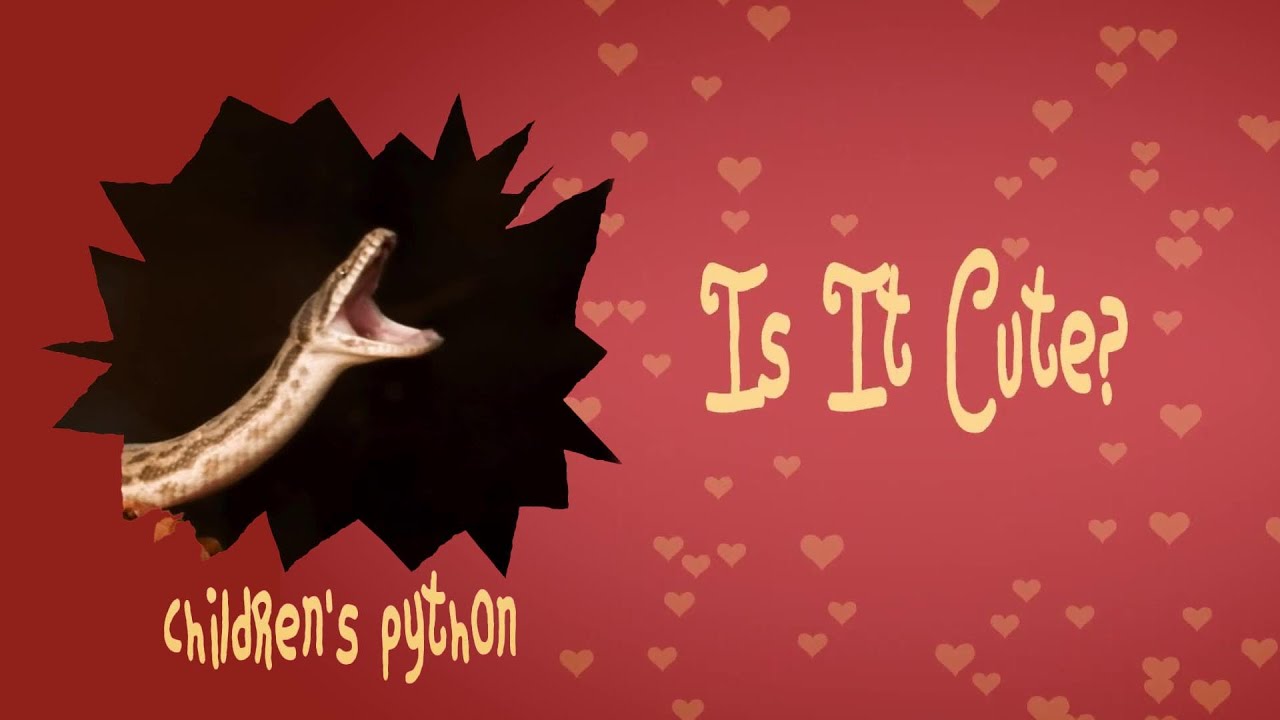 Can a python be cute?