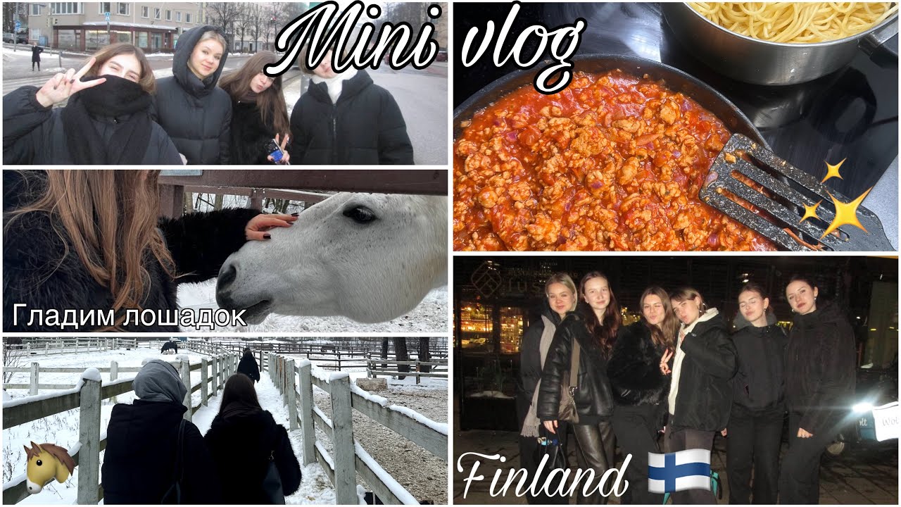 МИНИ ВЛОГ|TRIP TO FINLAND (балуемся,кушаем,гладим лошадок,гуляем по городу)