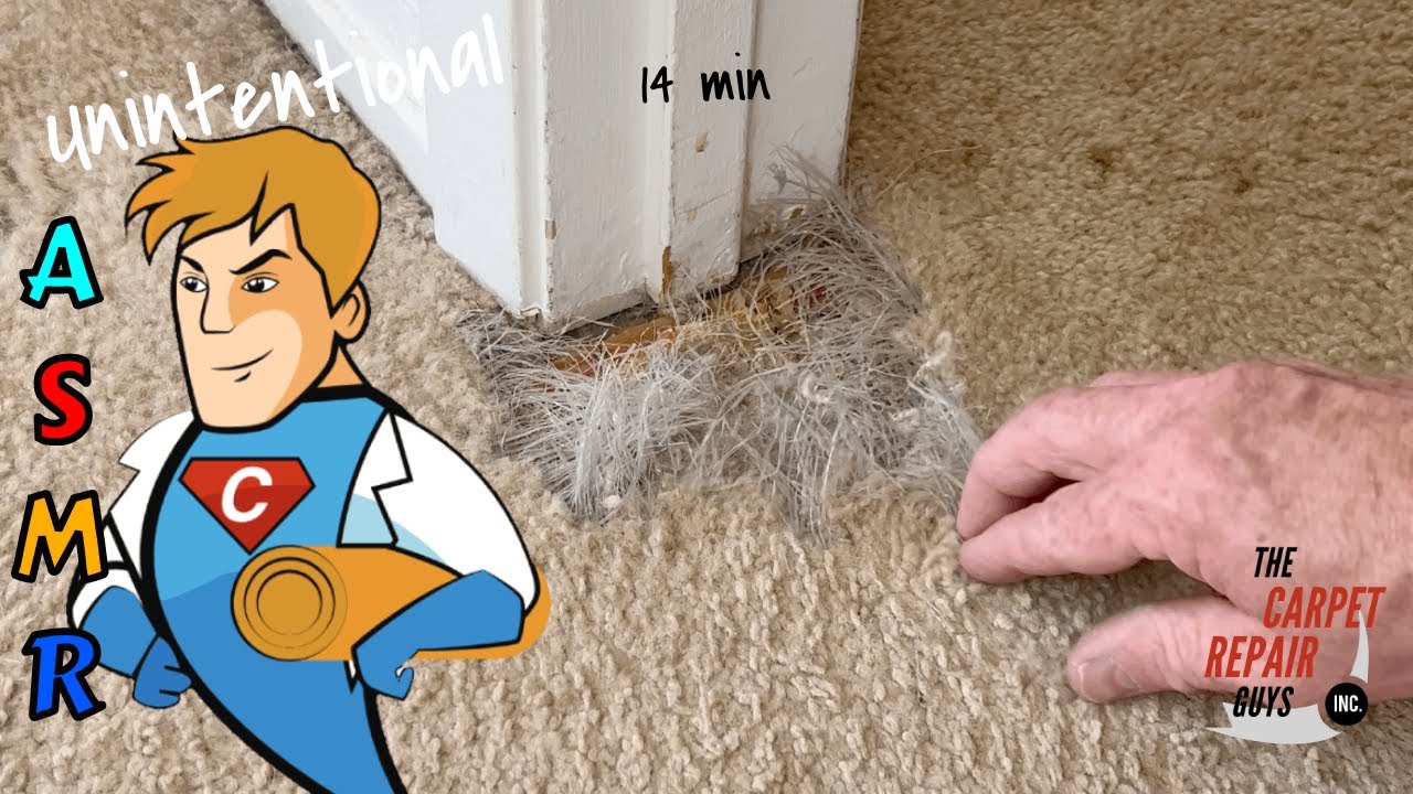 ASMR 14 min carpet repair pet damage