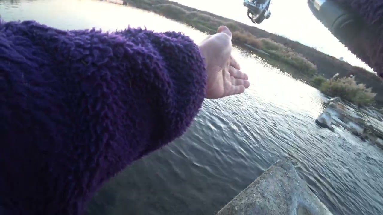 宣言通り釣れた🎣🐟🐟