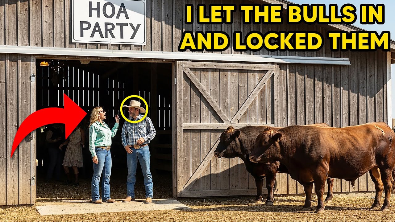 HOA Demanded My Barn For a Party — So I Let My 3000-Pound Bull in And Locked Them Inside!