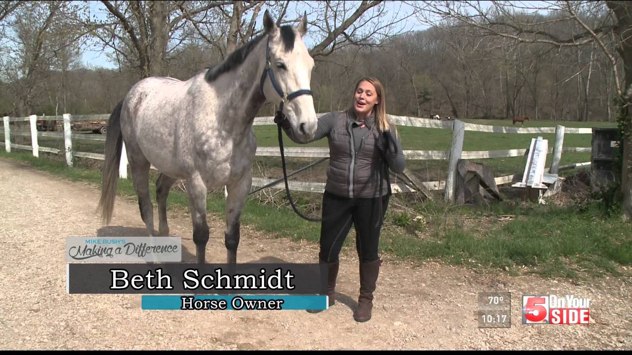 Woman helps retired racehorses get a second chance at life
