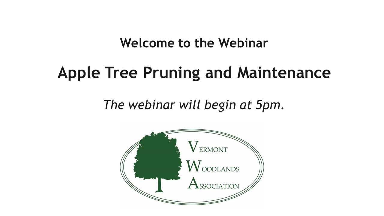Apple Tree Pruning and Release Webinar