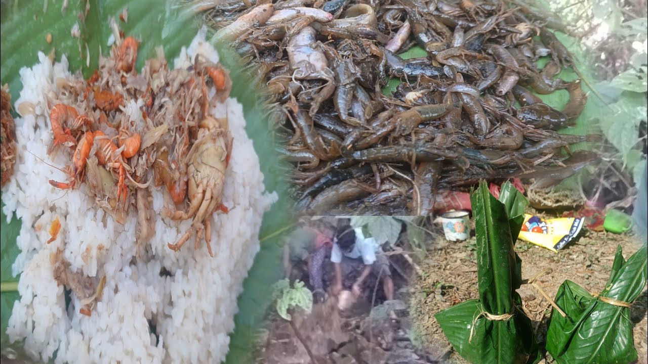 Catching fish/Caridea with traditional methods || Cooked in different recipe.