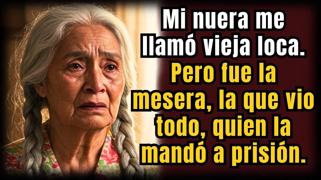 Mi nuera dijo que yo era una vieja loca — pero el testimonio de la mesera la llevó a prisión