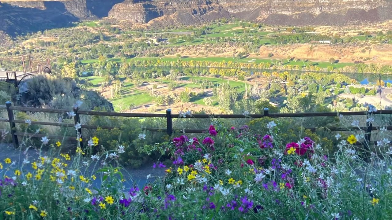 Elevation 486 | Twin Falla Idaho #shorts