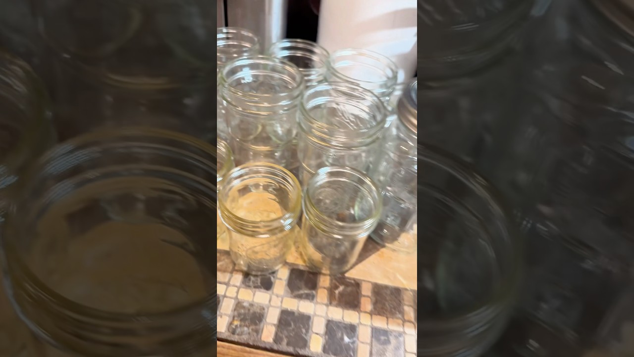 How I Preserve my Tomatoes