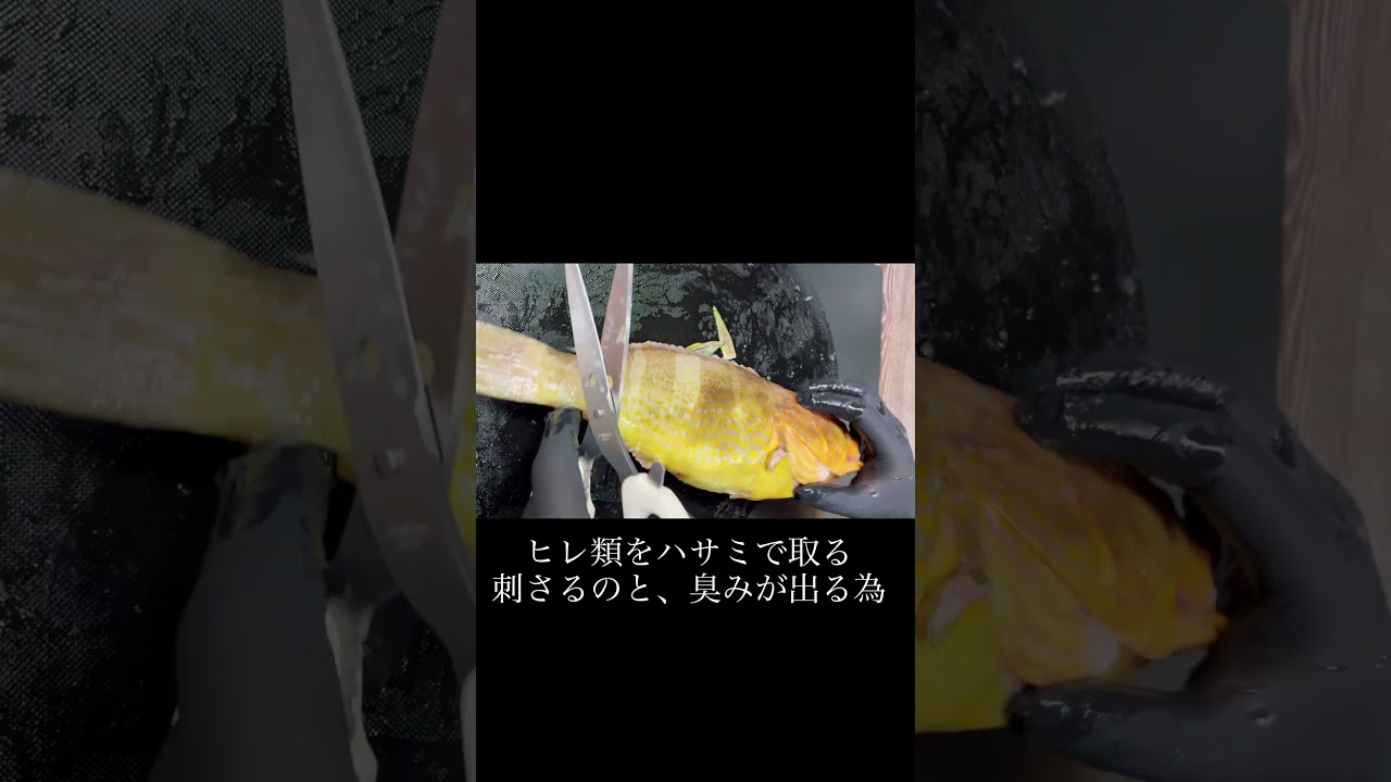 アオハタの煮付け 