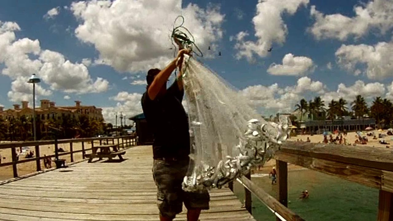 Cast Netting Pilchards!