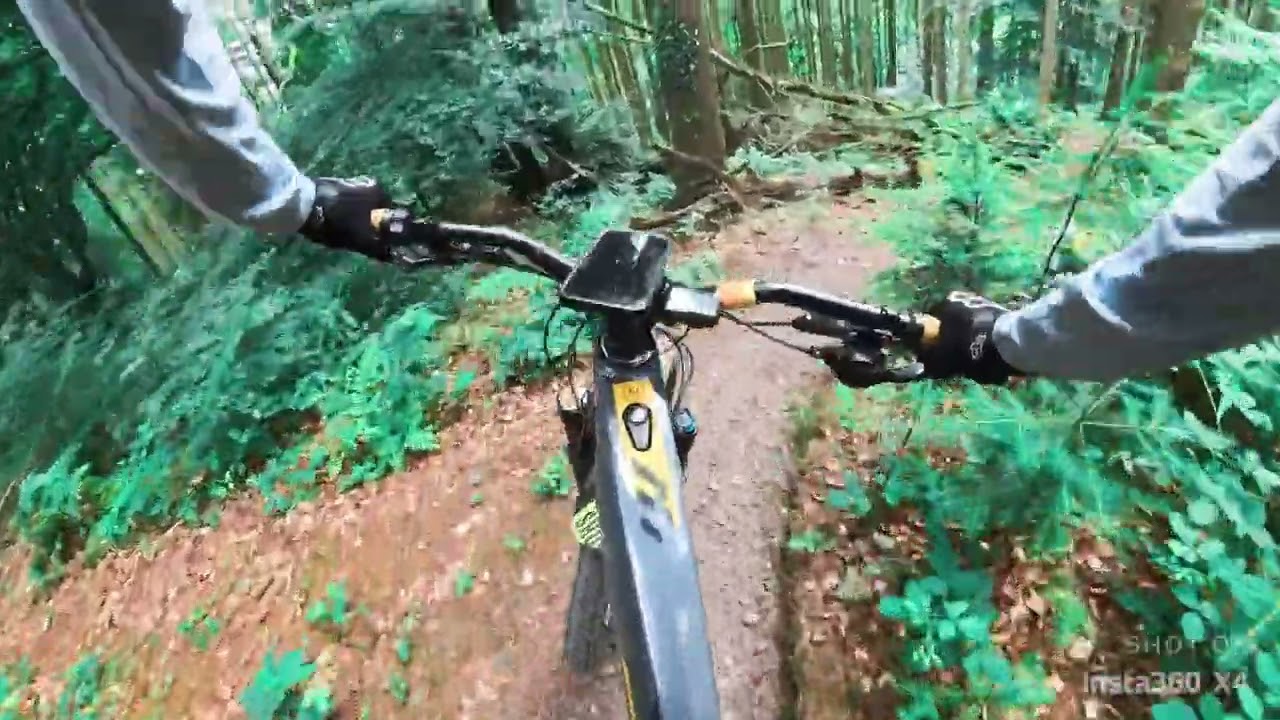 Canonteign Woods MTB Ride - Testing out the new Insta 360 X4