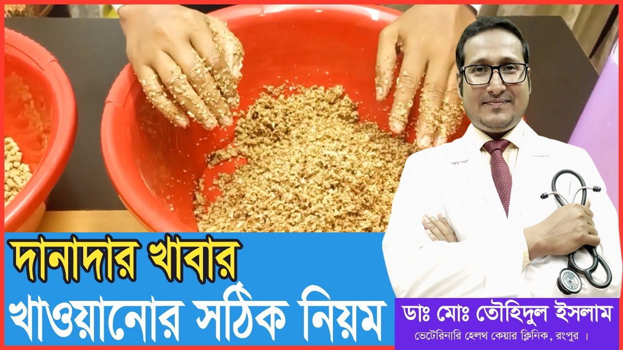 গরুকে সঠিকভাবে দানাদার খাবার খাওয়ানোর নিয়ম |গরুর খাবার পুষ্টিগুণ | How to feed Cattle |Dr.Touhidul