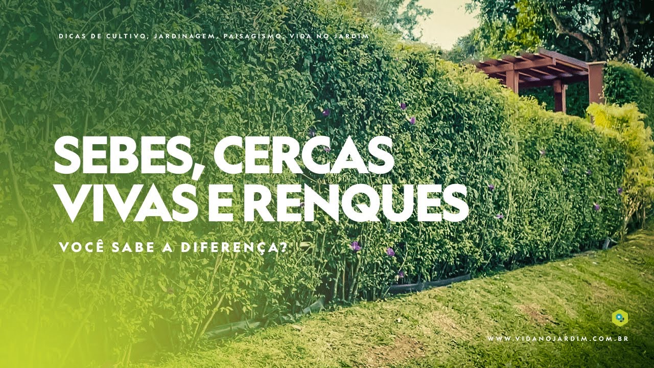 Você sabe a DIFERENÇA de SEBES, CERCAS VIVAS e RENQUES?