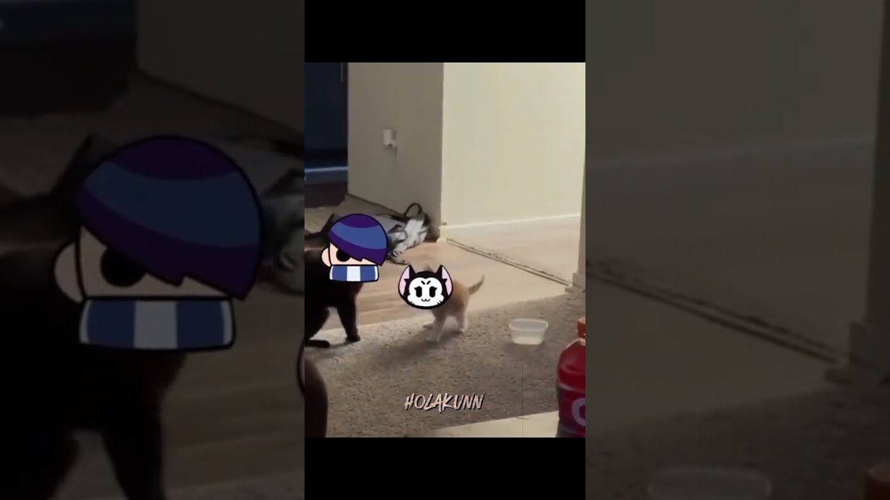 pov edgar vs kit | #brawlstars #kit #edgar