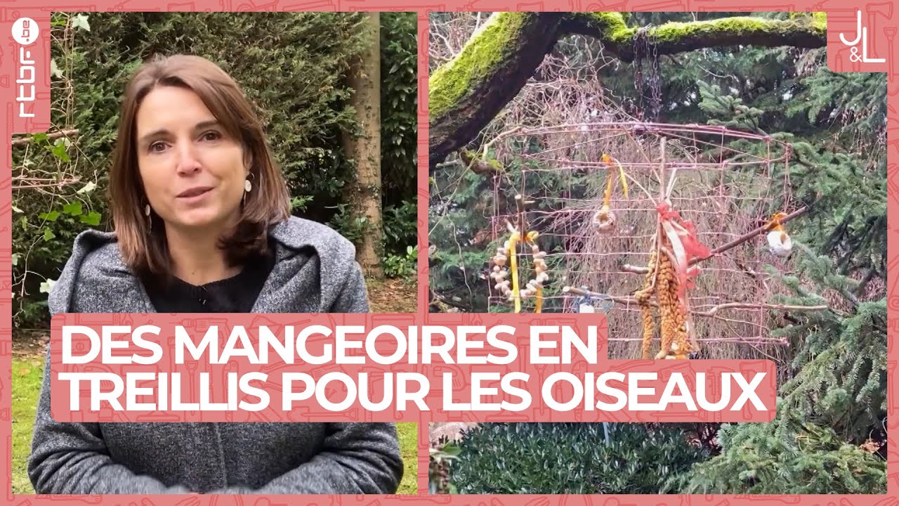 Fabriquez des mangeoires en treillis pour nourrir les oiseaux | DIY Jardins et Loisirs