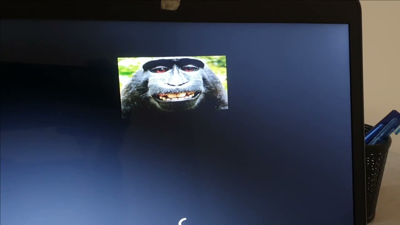 Изменение логотипа загрузки Windows 10/11 | HackBgrt | Простой метод | 2024