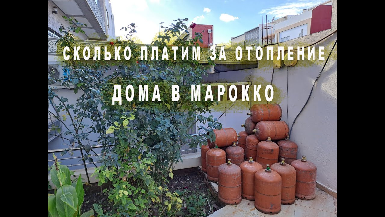 Хожу с охраной. Отопление в нашем доме.