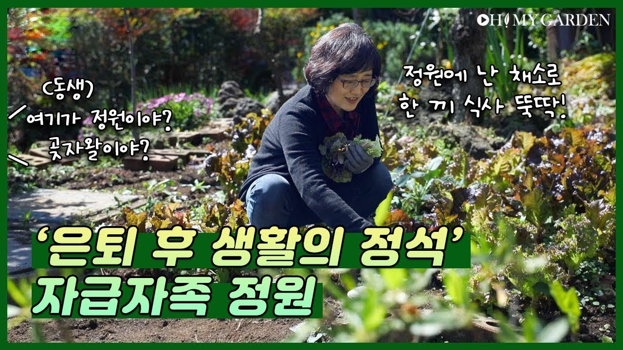 [정원의 발견] 나의 작은 숲 A Garden Grove | KBS제주 20210409 방송