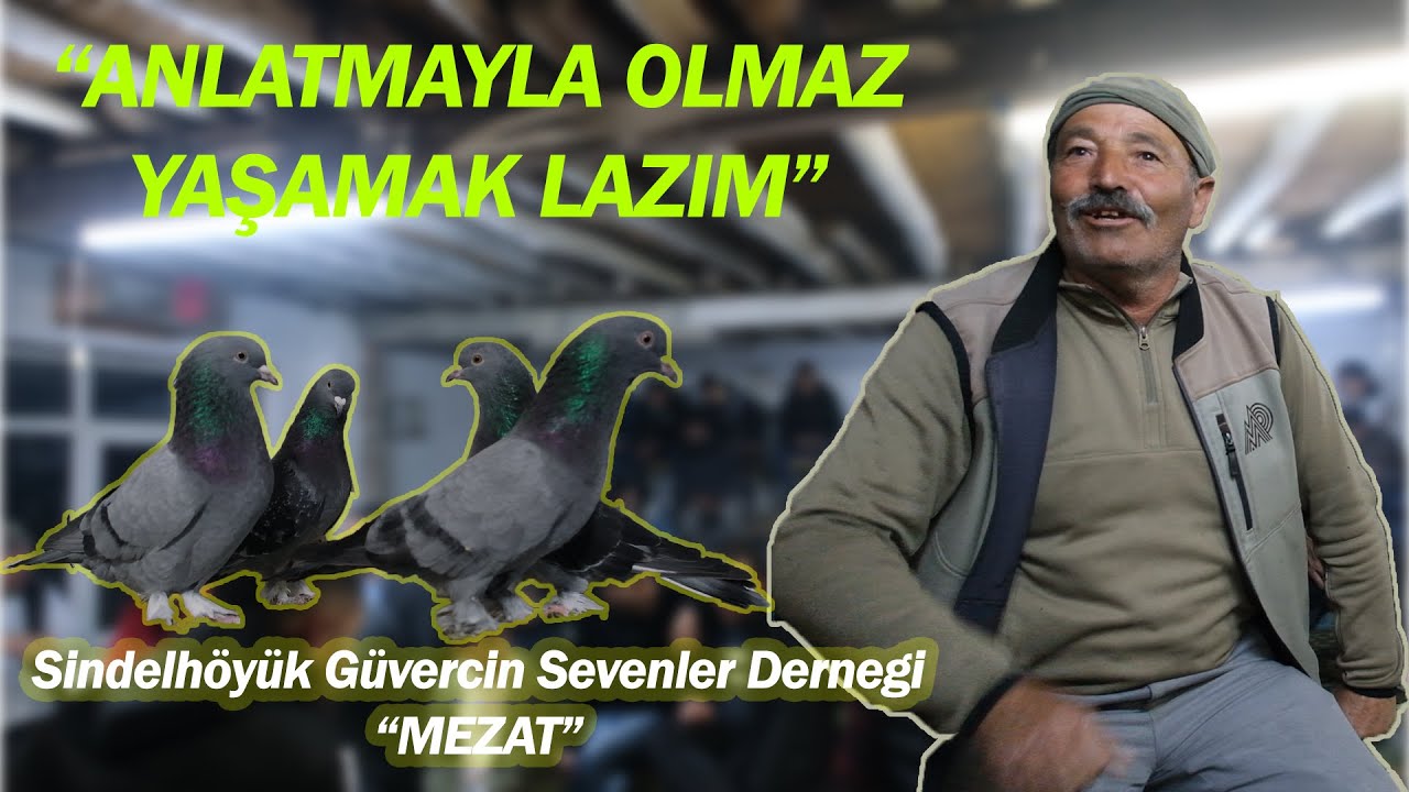 Anlatmayla Olmaz - Sindelhöyük Güvercin Sevenler Derneği Mezat
