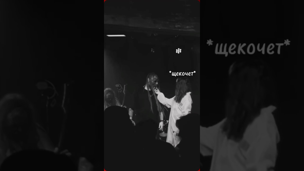 A.S.S.P. Миша Черный NET_GLAZ на концерте прикол #darkmusic #metal #funny #rock #assp #net_glaz #hit