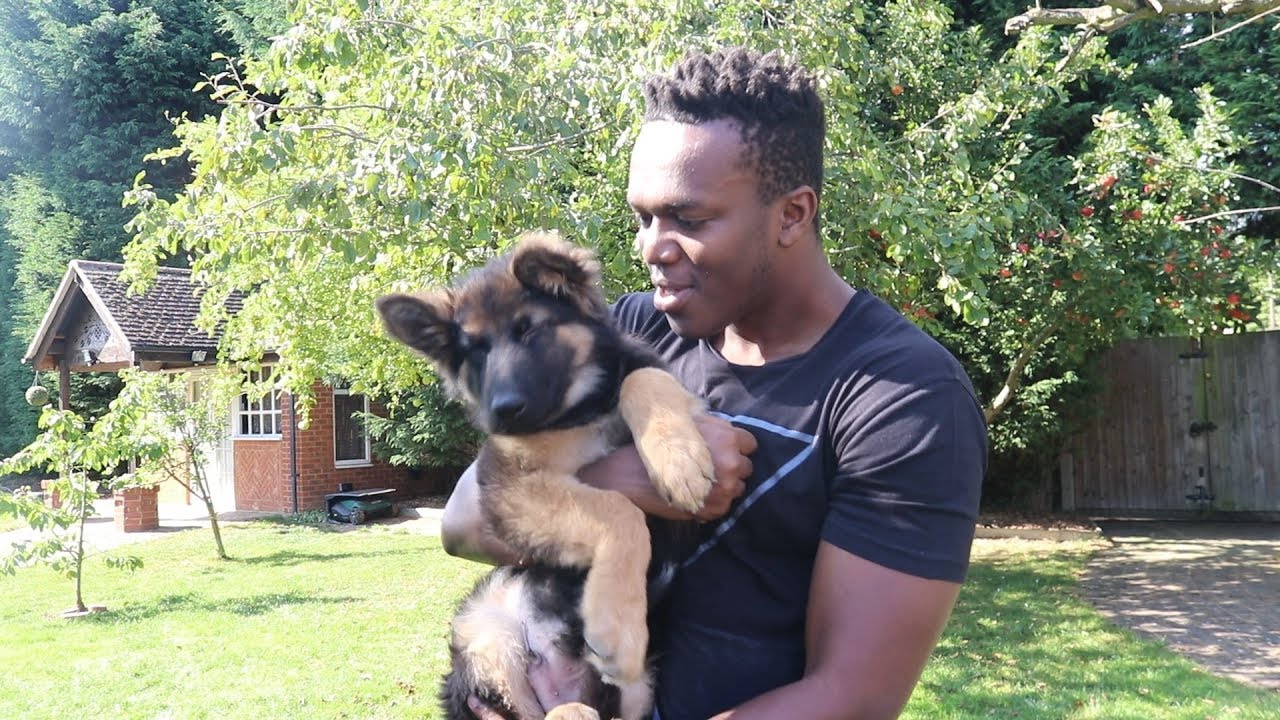 KSI НАКОНЕЦ-ТО ЗДЕСЬ
