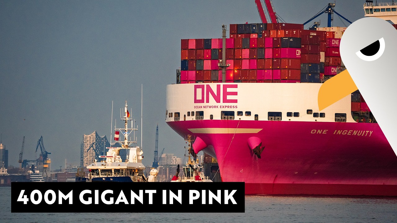 400m Stahl-Gigant Pretty in Pink 🛳️ Poller hocken, Schiffe gucken