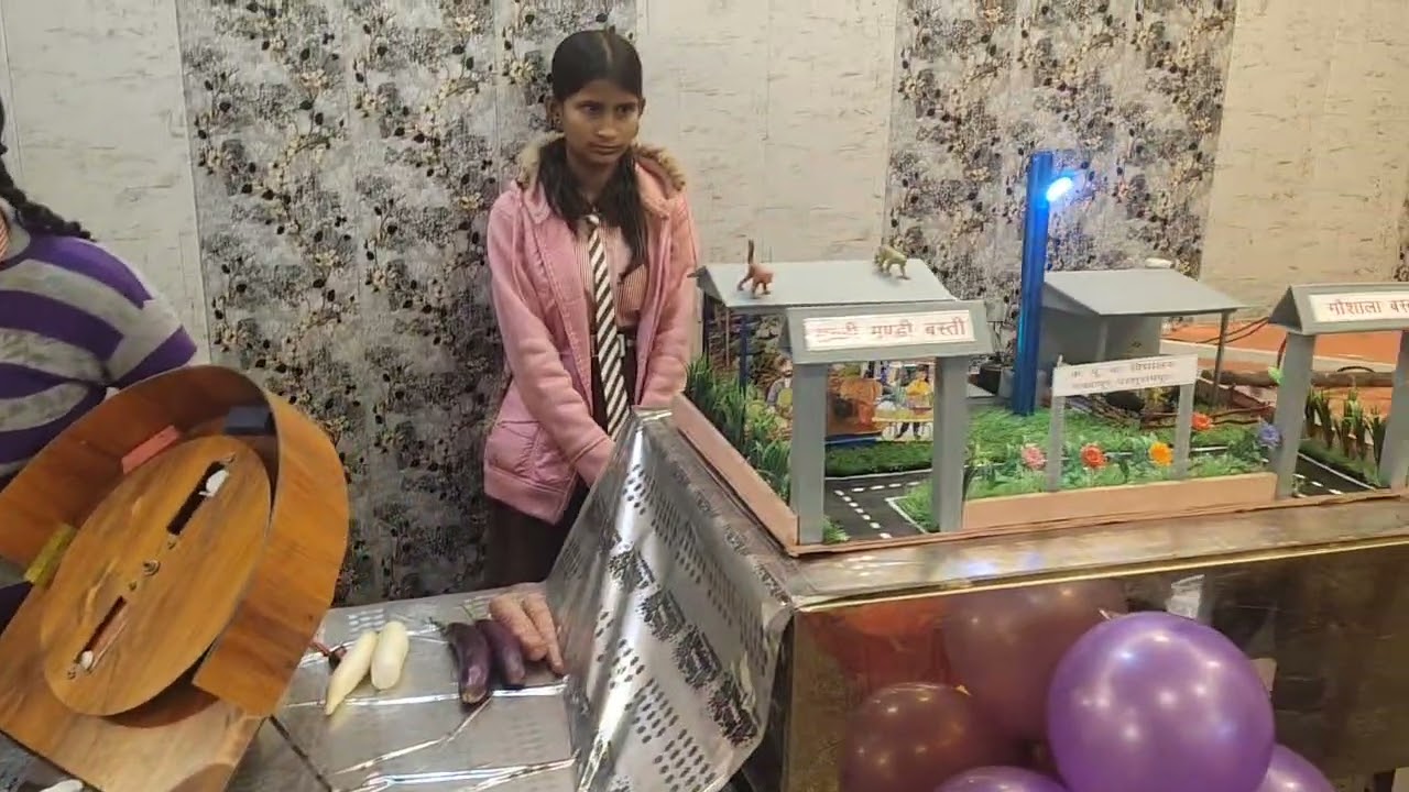 बेसिक शिक्षा परिषद राष्ट्रीय आविष्कार अभियान , 2026  जनपद बस्ती