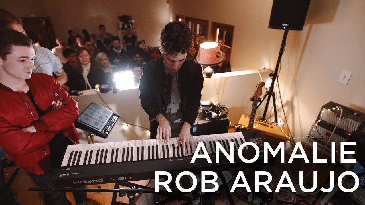Anomalie and Rob Araujo perform 
