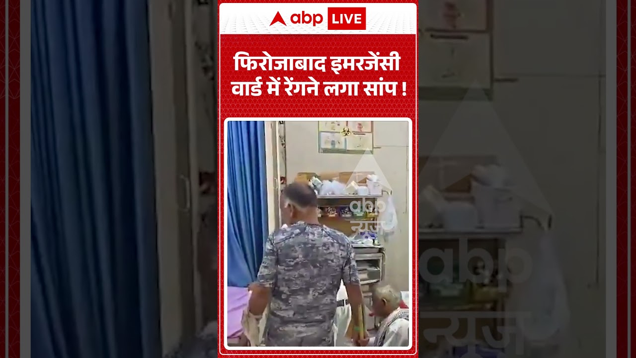 UP News : फिरोजाबाद इमरजेंसी वार्ड में रेंगने लगा सांप ! | #firozabad #firozabadnews #upnews