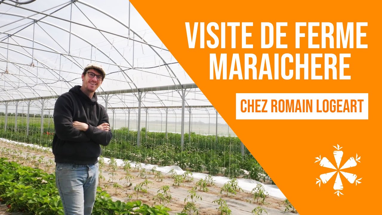 Visite de ferme maraichère : Chez Romain Logeart. Maraicher Bio dans la Marne