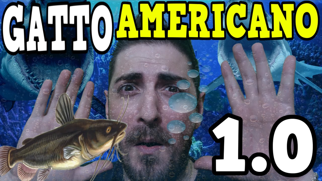 PESCE GATTO AMERICANO 1.0 - CATFISH