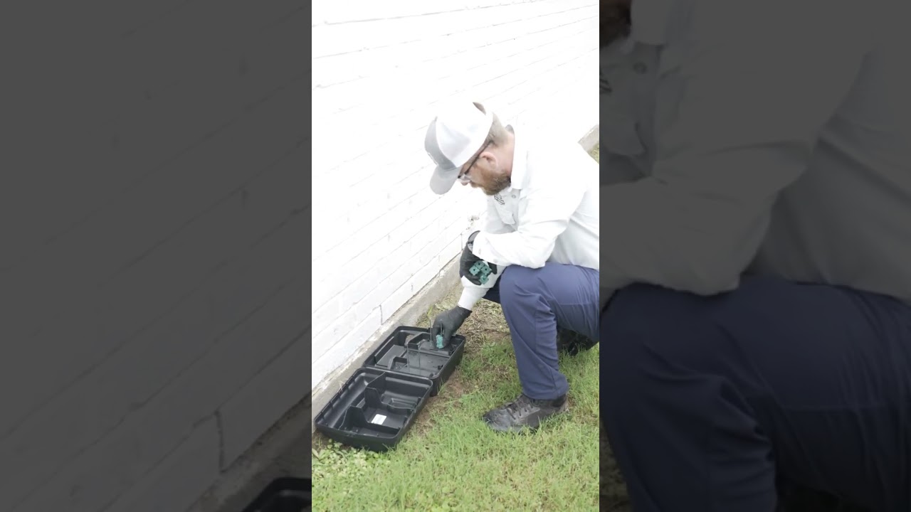 🐭 Rodent Control in Fort Worth, TX